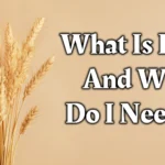 DietsUK-What-Is-Fibre-And-Why-Do-I-Need-It